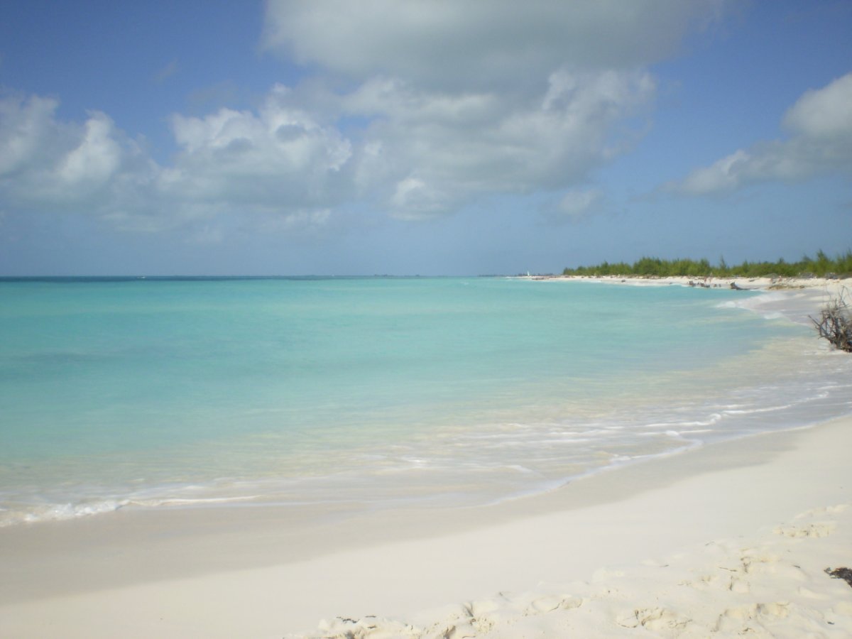 Descubre Playa Paraíso: La Playa de tus Sueños en Cayo Largo - Cayo Largo | Secret World Trip Planner