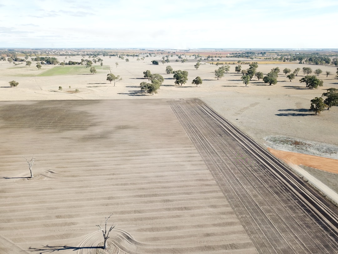 Coonawarra : Le Paradis du Cabernet Sauvignon - Coonawarra SA 5263 | Secret World Trip Planner