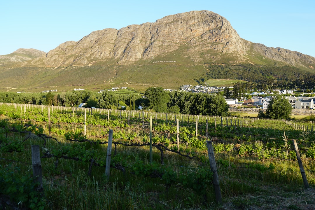 Franschhoek: El Paraíso del Vino en Sudáfrica - Franschhoek | Secret World Trip Planner