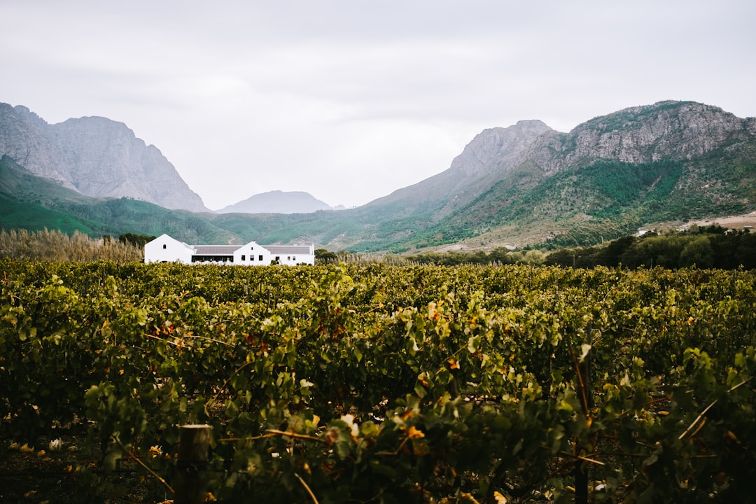 フランシュフック:南アフリカのワインの楽園 - Franschhoek | Secret World Trip Planner