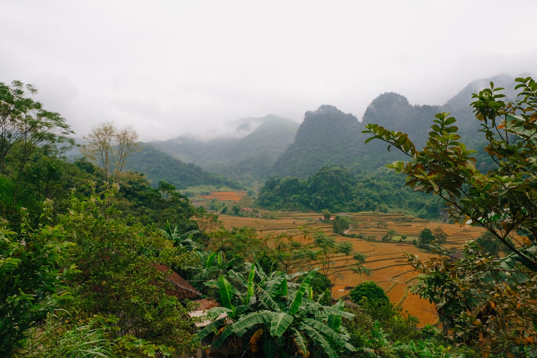 Descubre la belleza de Phou Den Din, un paraíso natural en Vietnam - Muong Nhe | Secret World Trip Planner