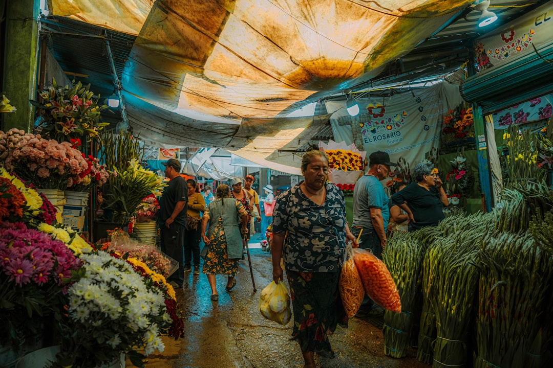Entdecke den Mercado de Artesanías La Ciudadela in Mexiko-Stadt - 06040 Ciudad de México | Secret World Trip Planner