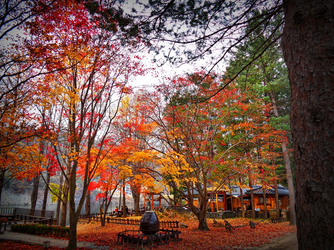 完璧なソウルの旅程:AIで理想の旅行を作成 - Seoul | Secret World Trip Planner