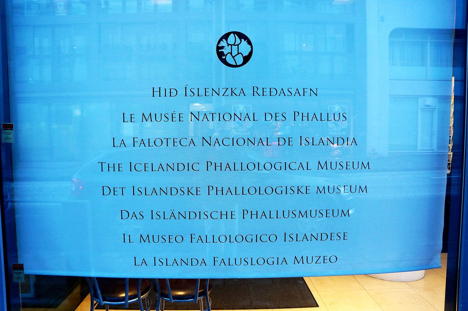 Visitez le Musée Phallologique Islandais de Reykjavík - Reykjavík | Secret World Trip Planner