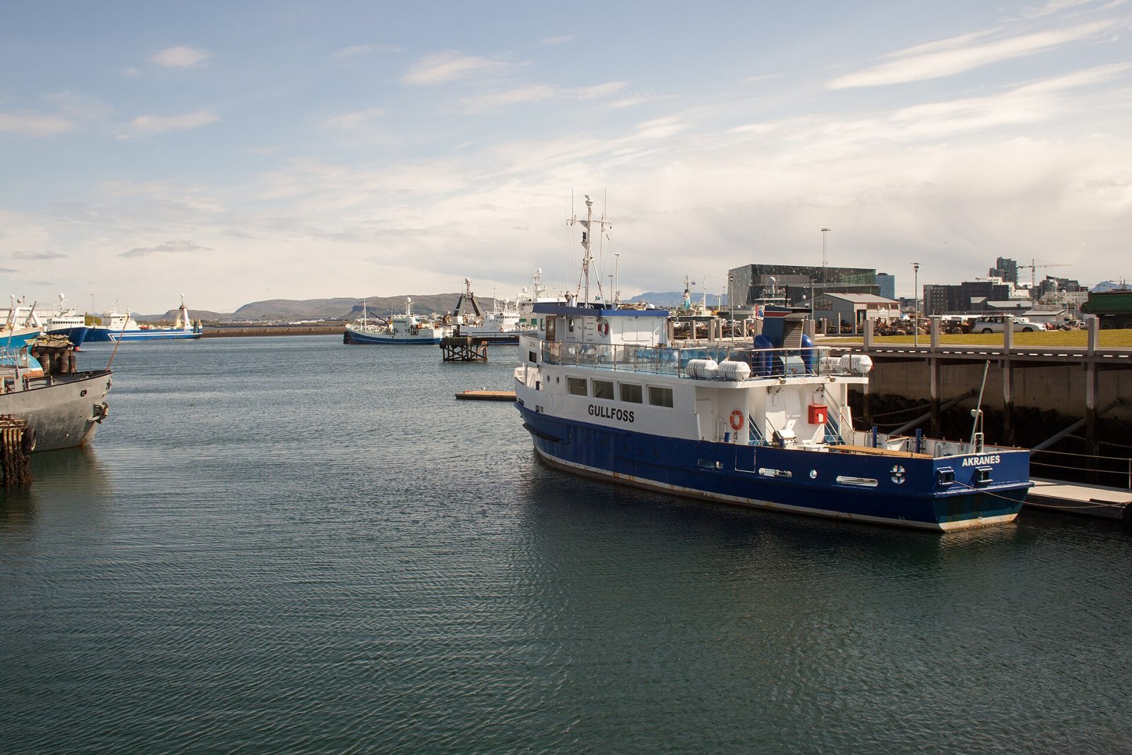 Reykjavík의 스포츠 중심지 Víkin을 발견하세요 - Reykjavík | Secret World Trip Planner