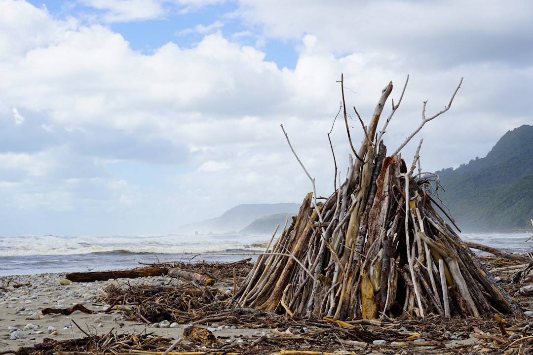 Entdecke Flotsam: das Videospiel, das die neuseeländische Kultur verwandelt - Waiheke Island | Secret World Trip Planner