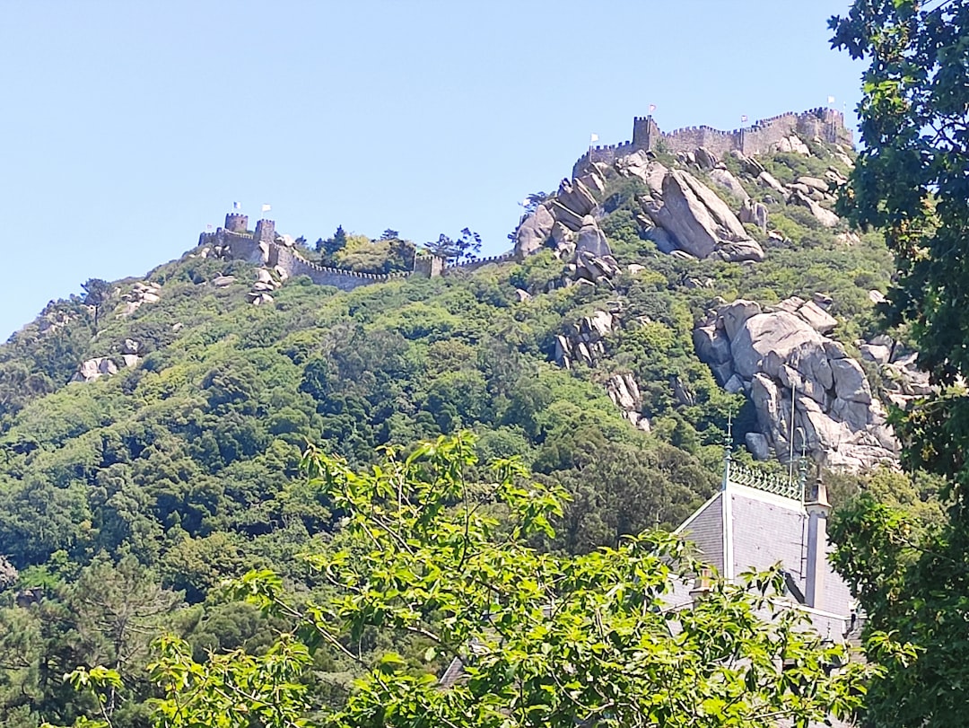 Explorer le Château des Maures : un trésor caché à Sintra - 2710-405 Sintra | Secret World Trip Planner
