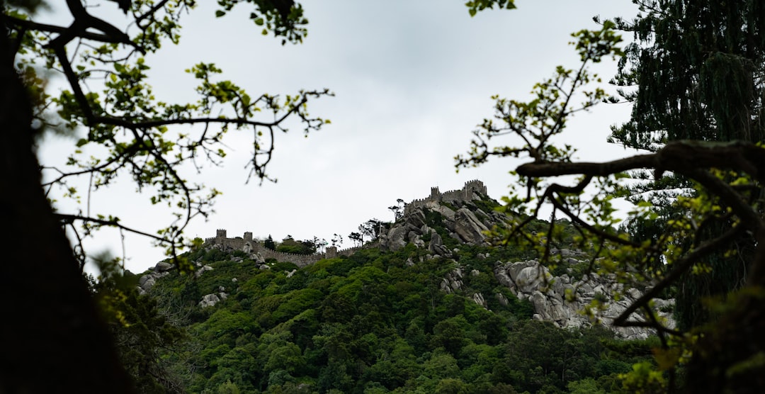 Explorando el Castillo de los Moros: un tesoro en Sintra - 2710-405 Sintra | Secret World Trip Planner
