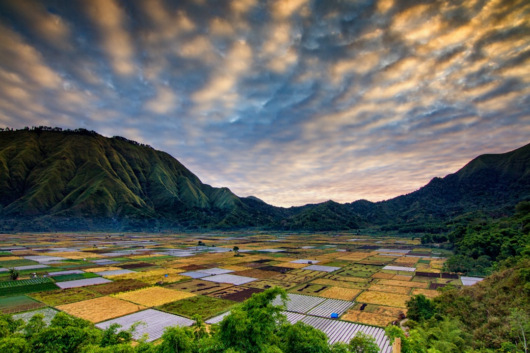 눈부신 트라마운티, 롬복 선라이즈 랜드에서 - East Lombok Regency | Secret World Trip Planner