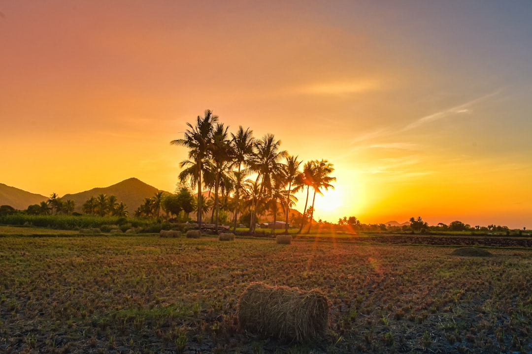 隆波克日出之地的壮丽日落 - East Lombok Regency | Secret World Trip Planner
