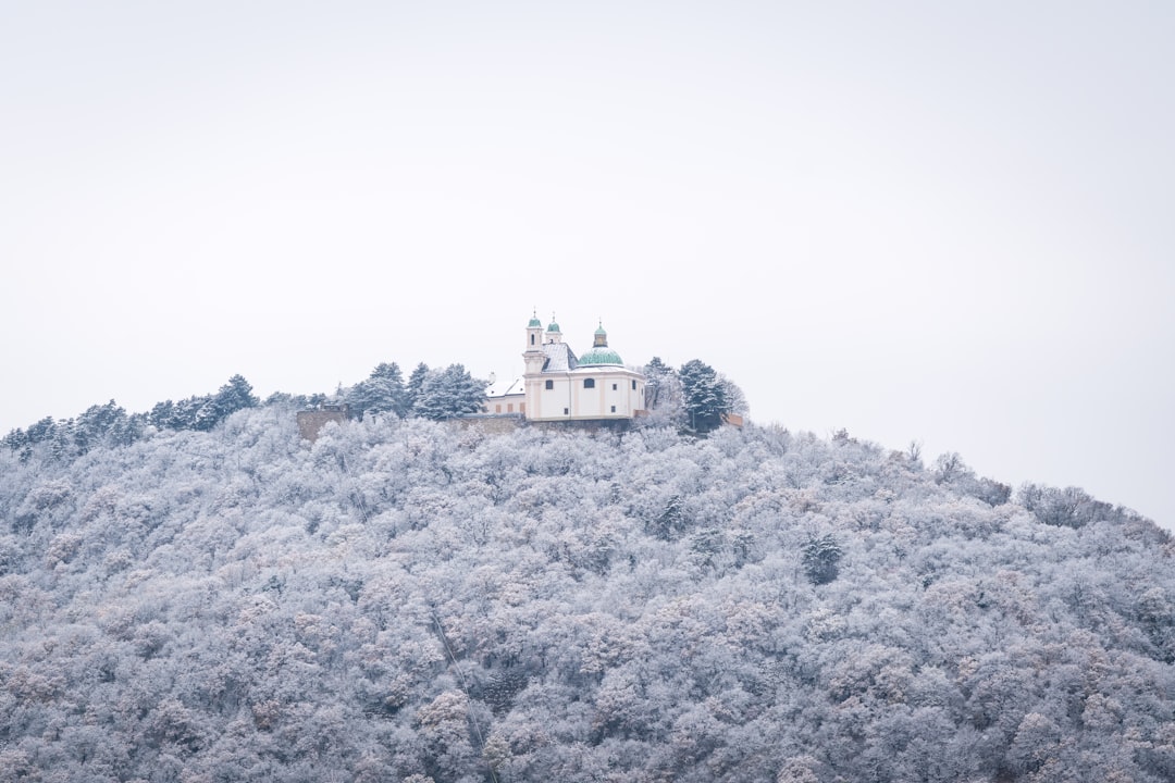 Wanderlog Alternativen 2026: Die besten Optionen für Wien - Vienna | Secret World Trip Planner