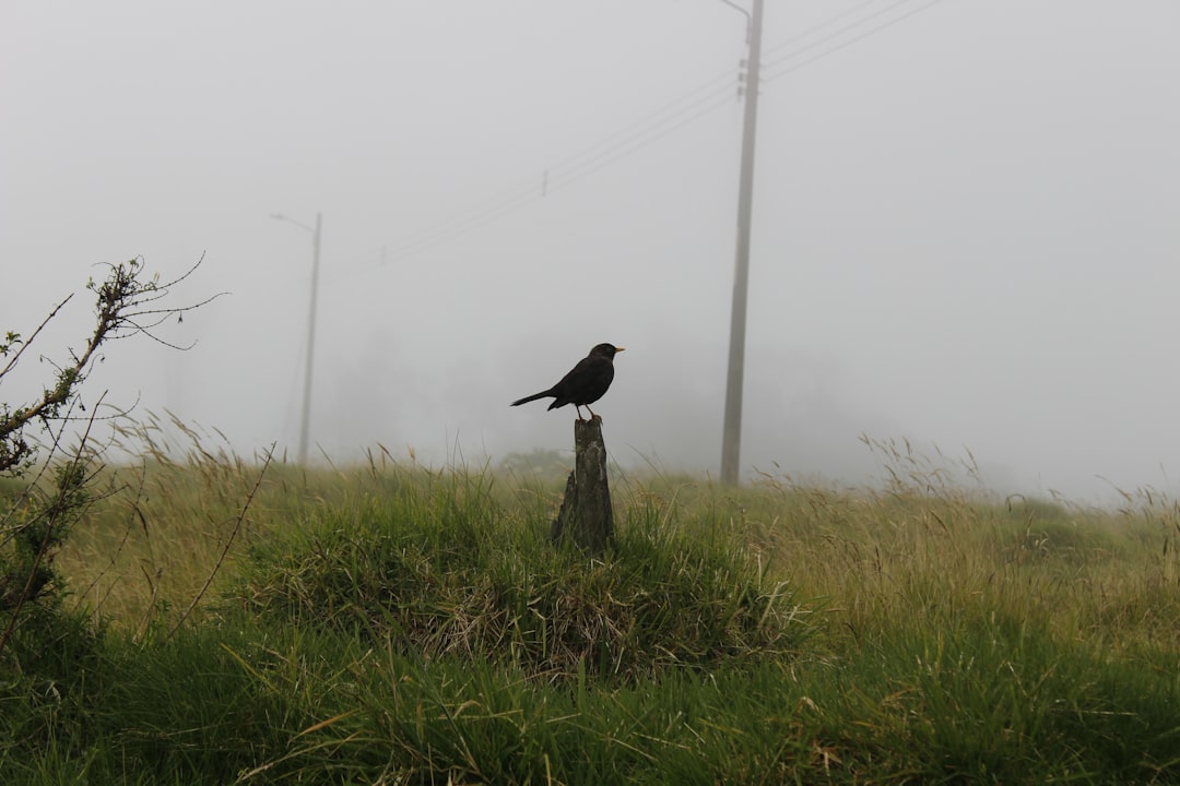 Turrialba : le volcan actif du Costa Rica - Provincia di Cartago | Secret World Trip Planner