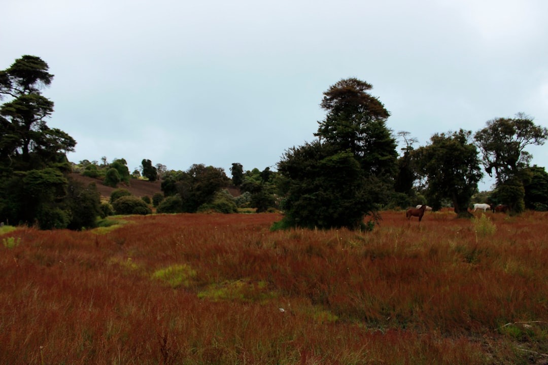 Turrialba : le volcan actif du Costa Rica - Provincia di Cartago | Secret World Trip Planner