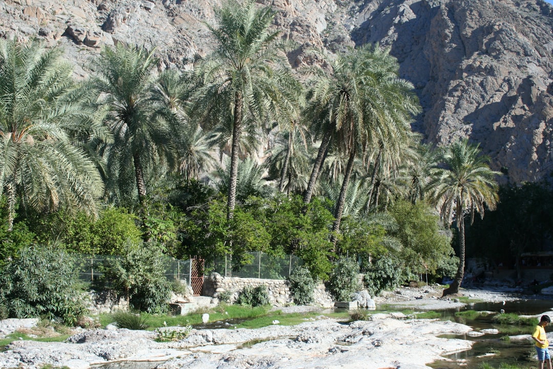 Wadi Bani Khalid: The Natural Pools of Eastern Oman - Wadi Bani Khalid | Secret World Trip Planner