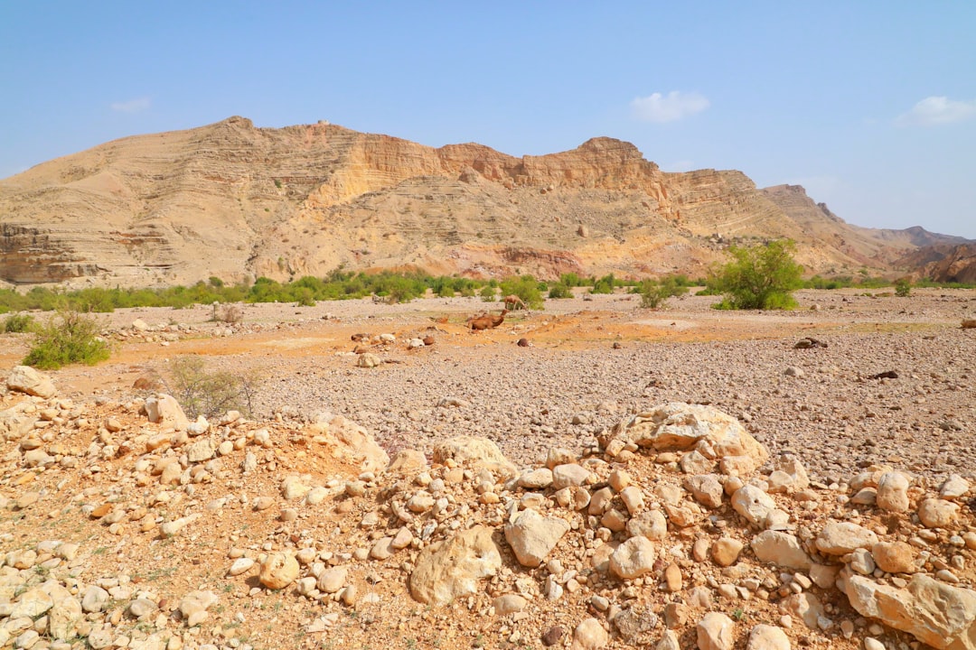 Wadi Bani Khalid : les piscines naturelles d'Oman - Wadi Bani Khalid | Secret World Trip Planner