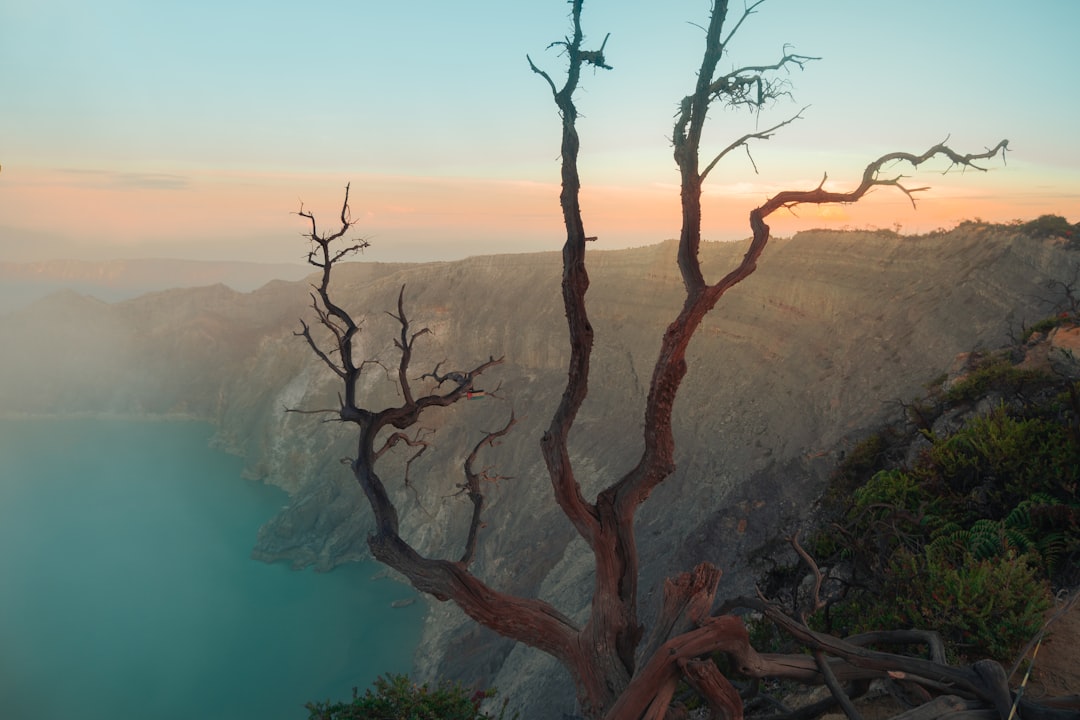 伊真火山口:东爪哇的碧蓝酸湖 - Kabupaten Banyuwangi | Secret World Trip Planner