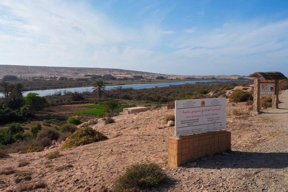 Parco Nazionale Souss Massa: natura selvaggia in Marocco - Sidi Binzarne | Secret World Trip Planner