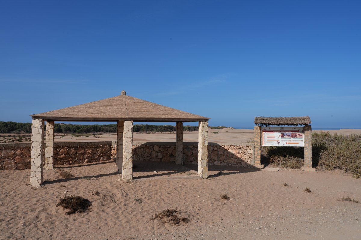 Nationalpark Souss Massa: wilde Natur in Marokko - Sidi Binzarne | Secret World Trip Planner