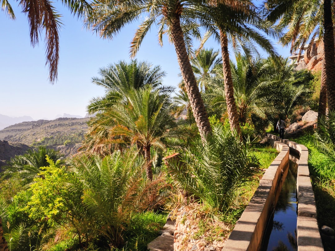 Misfah al Abriyyin: Das Felsdorf im Oman - Misfah al Abriyyin | Secret World Trip Planner