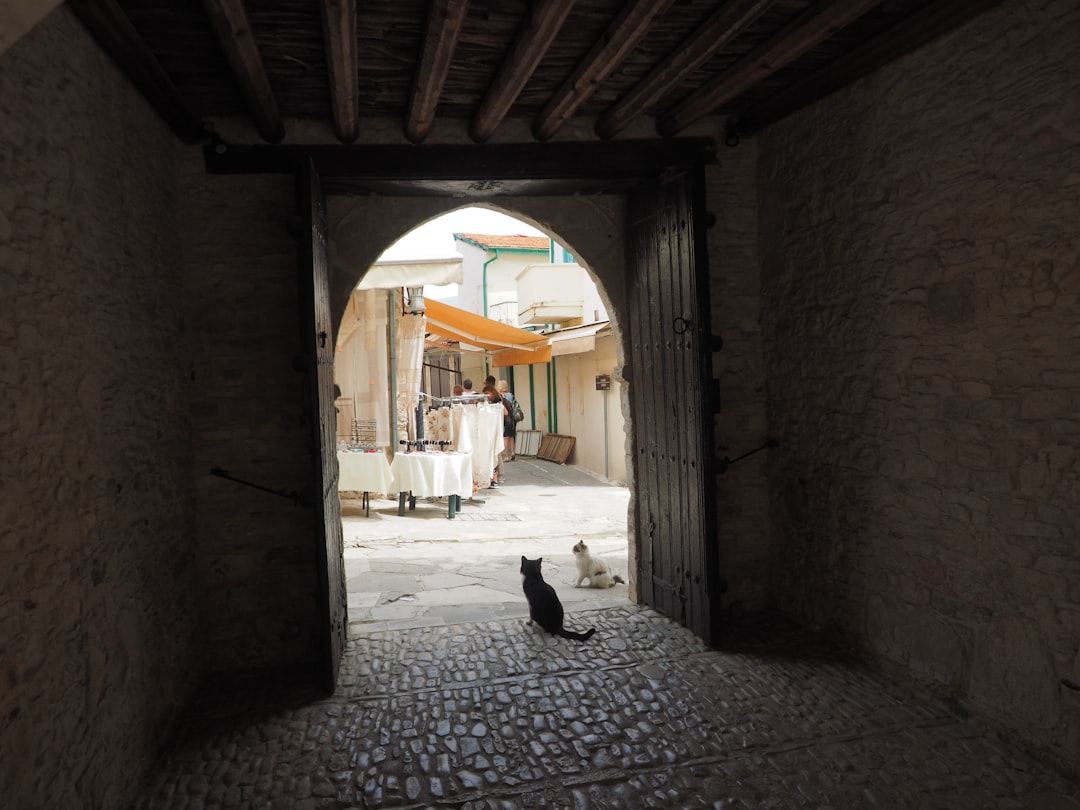 Kotor's Cats Museum: Felines and Artisans in History - Trg Gospa od Anđela - Stari Grad 371 | Secret World Trip Planner