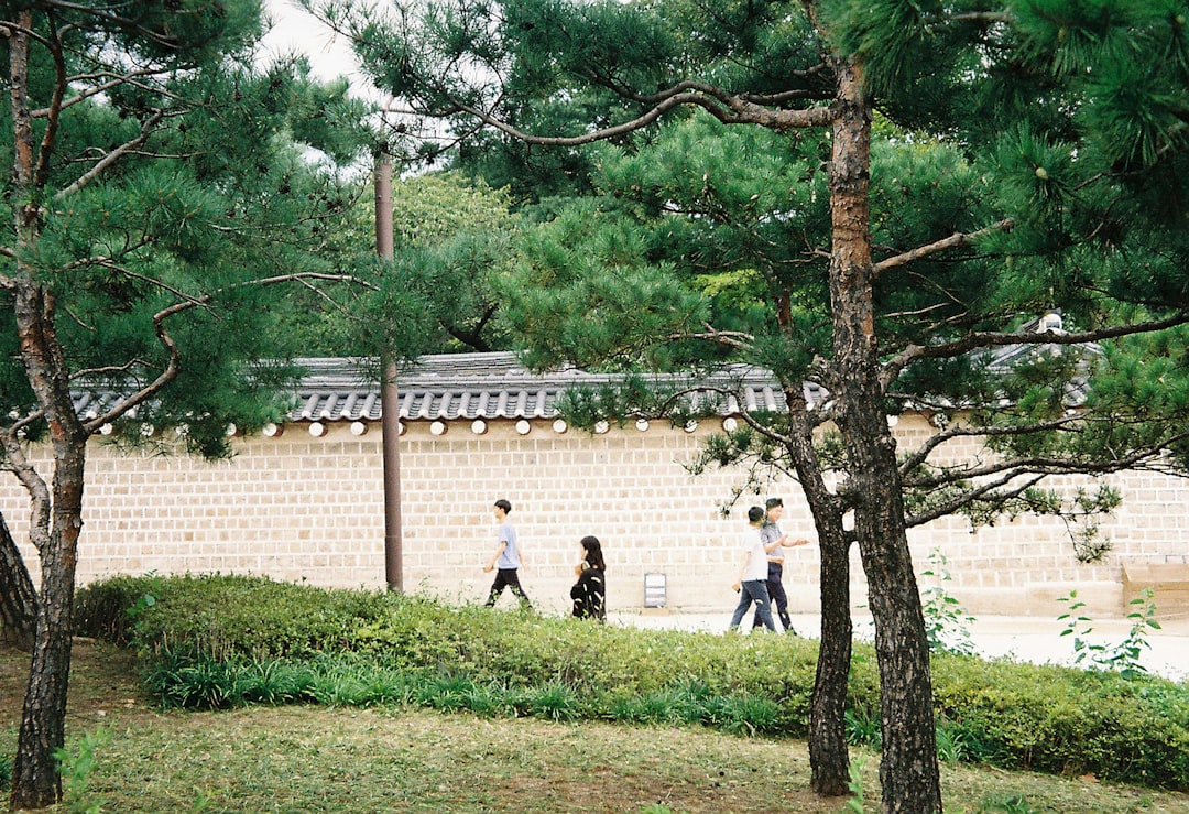 Discover the Abraham Park Kenneth Vine Museum in Seoul - Guro District | Secret World Trip Planner