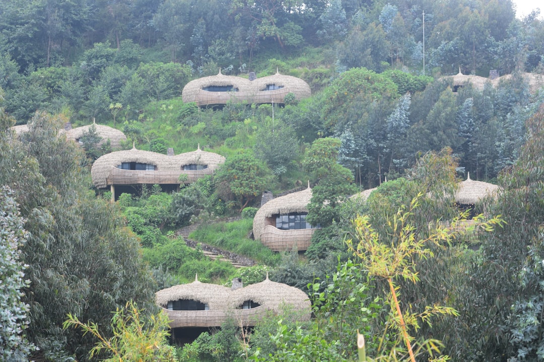 Parque Nacional de Volcanes: trekking con gorilas en Ruanda - NM 222 Street | Secret World Trip Planner