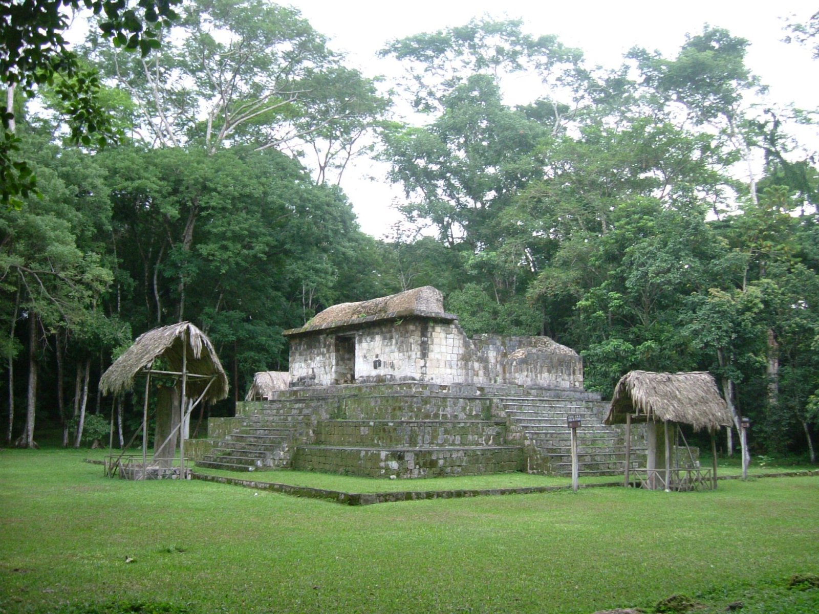 El Ceibal: A Journey Through Guatemala's History - Seibal | Secret World Trip Planner