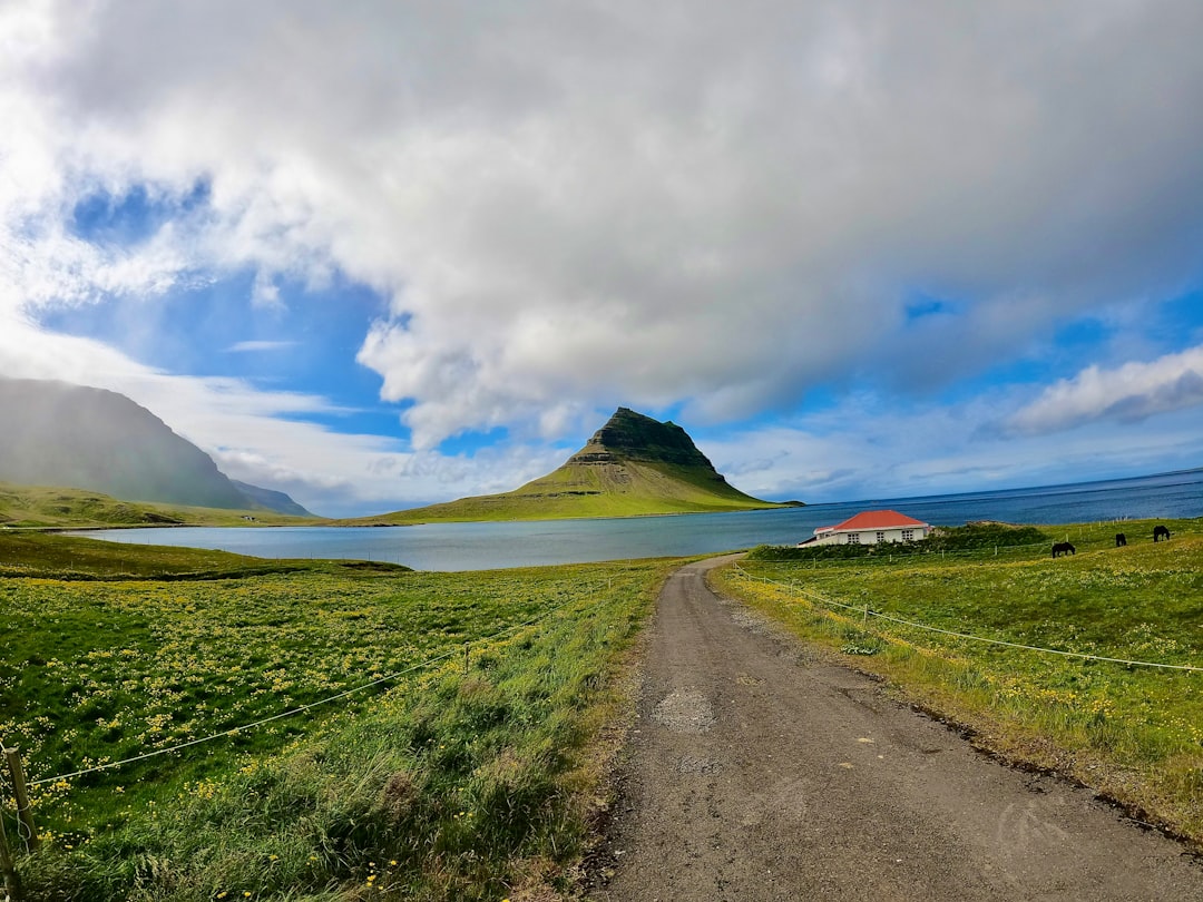 Descubra Vatnsnes: um canto selvagem da Islândia - Keflavík | Secret World Trip Planner