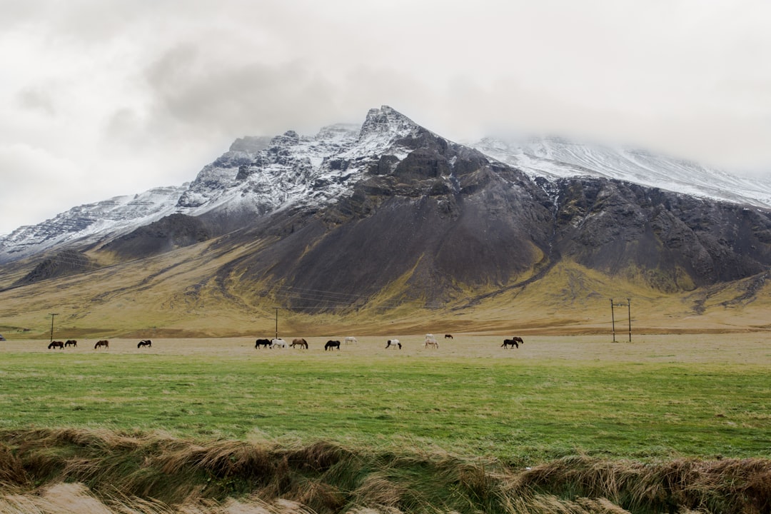 Höskuldsey: Ein Naturjuwel in Island zu entdecken | Secret World Trip Planner