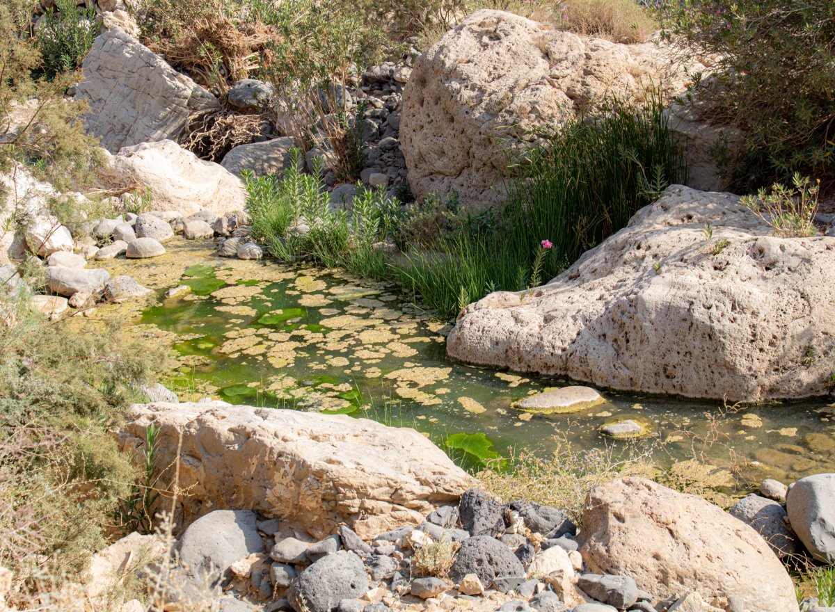 Wadi al Mujib: Jordan's Deepest Canyon Adventure - Wadi al Mujib | Secret World Trip Planner