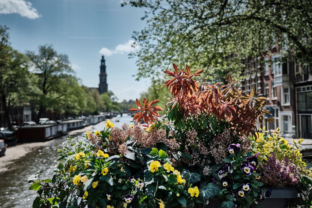 Hortus Botanicus de Ámsterdam: guía de visita - Plantage Middenlaan 2a | Secret World Trip Planner