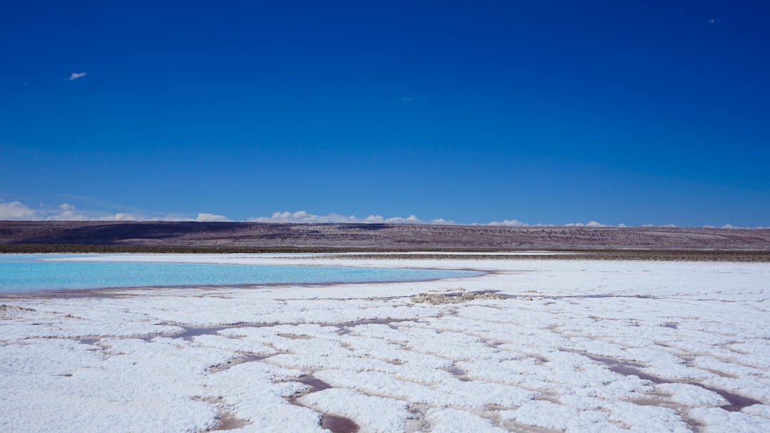 Saline Aguada Blanca: High-Altitude Wildlife Wonders - Reserva Nacional de Salinas y Aguada Blanca | Secret World Trip Planner