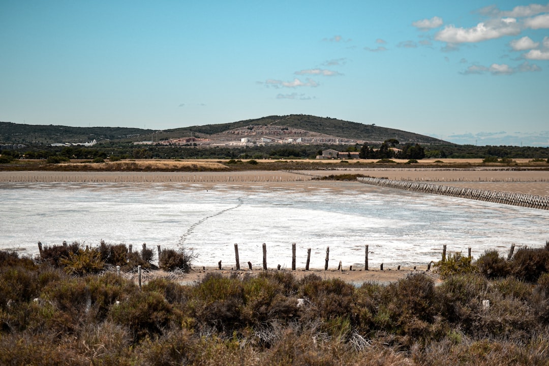 Солёное озеро Агуада Бланка: дикая фауна высокогорья - Reserva Nacional de Salinas y Aguada Blanca | Secret World Trip Planner