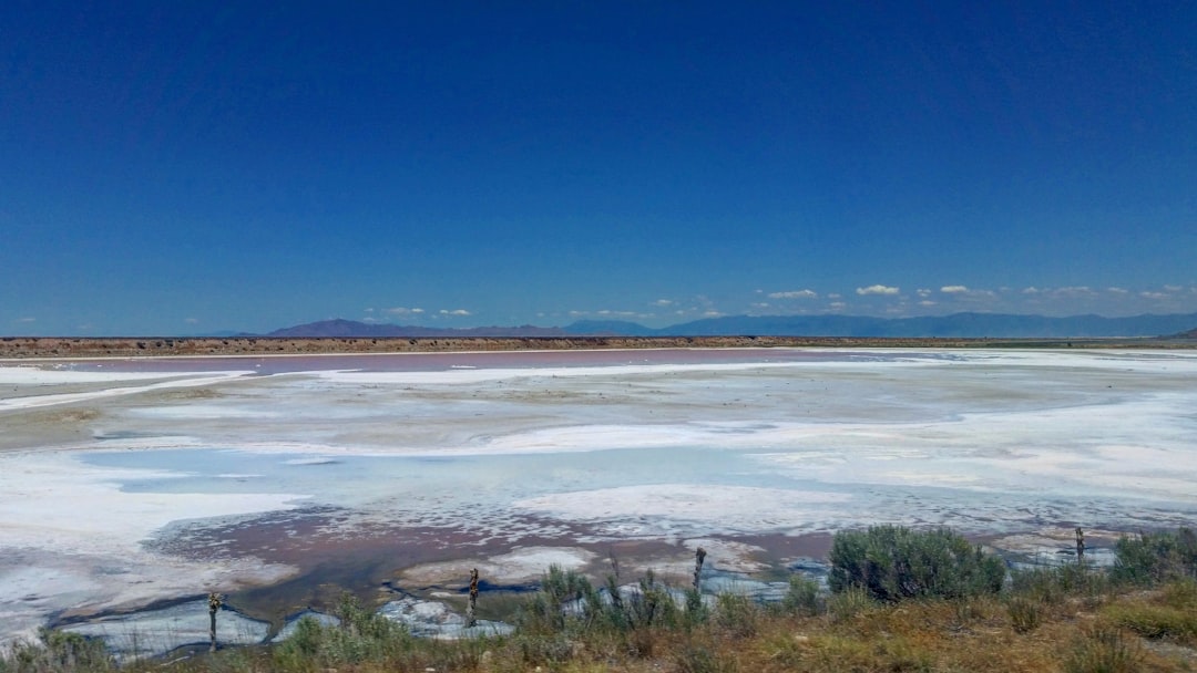 盐水阿瓜达布兰卡:高海拔野生动物 - Reserva Nacional de Salinas y Aguada Blanca | Secret World Trip Planner