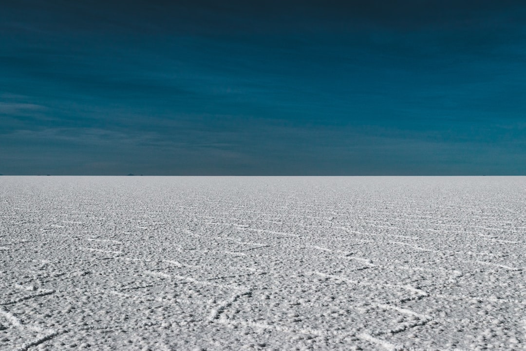 Rann de Kutch: o deserto branco do Gujarat - Dhordo | Secret World Trip Planner