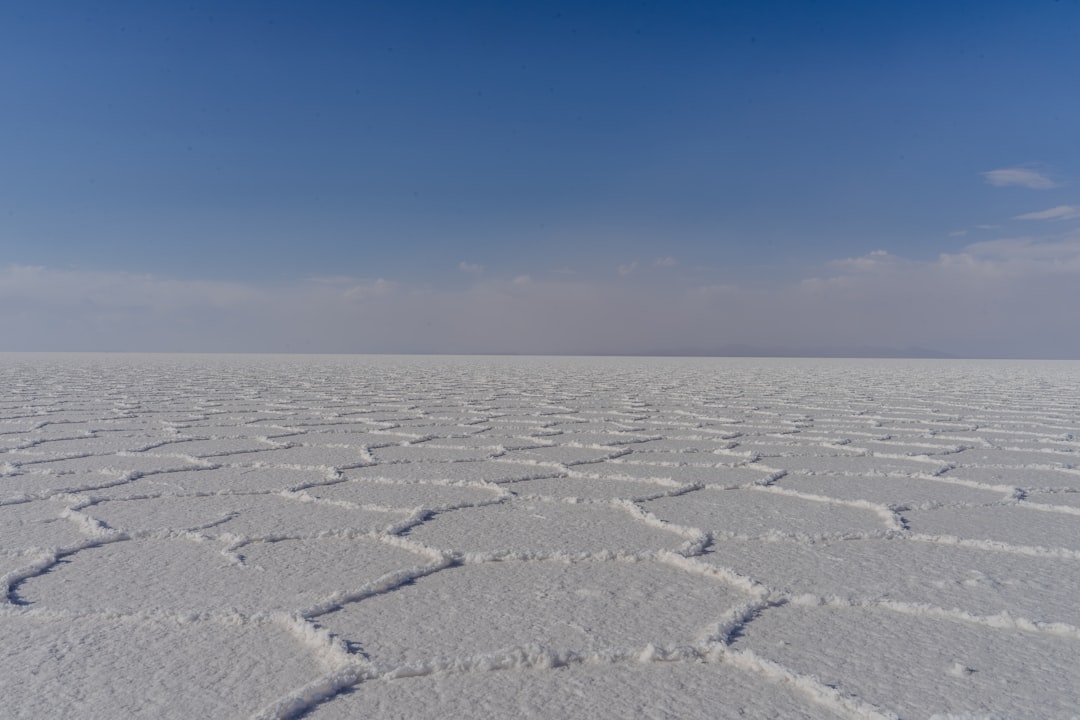 Rann de Kutch: o deserto branco do Gujarat - Dhordo | Secret World Trip Planner