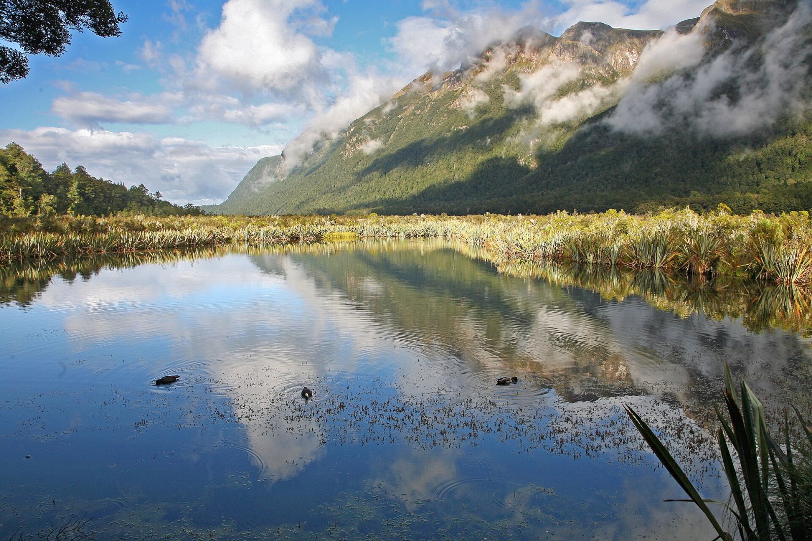 Mirror Lakes: A Magia dos Lagos Reflexivos da Nova Zelândia - Mavora | Secret World Trip Planner