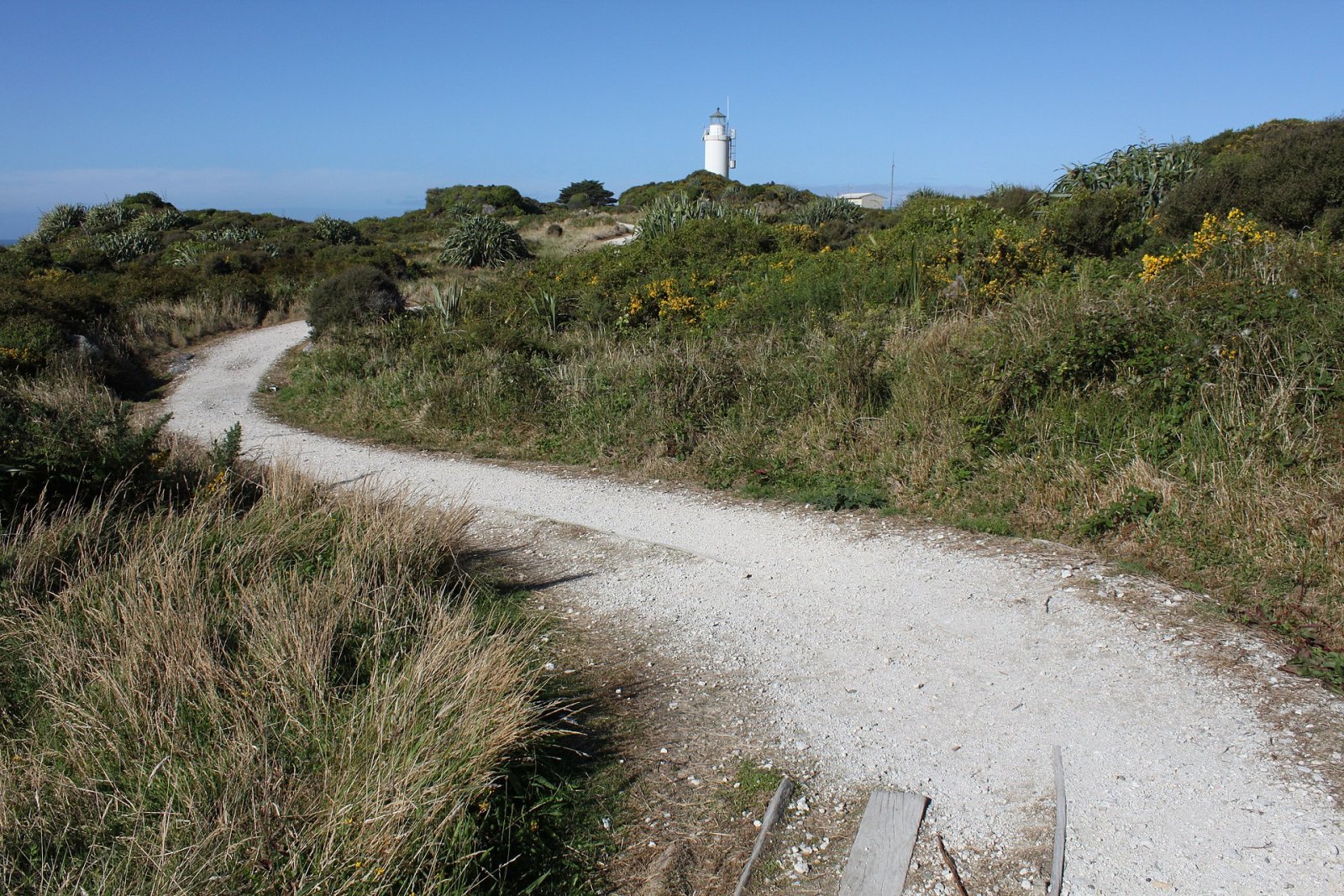 Cape Foulwind: Una joya de la costa oeste de Nueva Zelanda - Cape Foulwind | Secret World Trip Planner