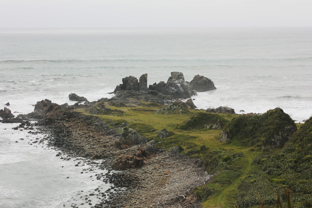 Cape Foulwind: Una joya de la costa oeste de Nueva Zelanda - Cape Foulwind | Secret World Trip Planner