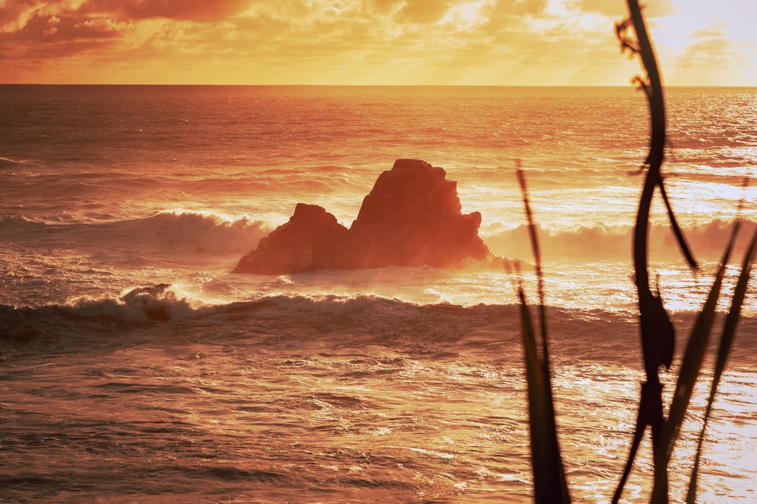 福尔温德角:新西兰西海岸的瑰宝 - Cape Foulwind | Secret World Trip Planner