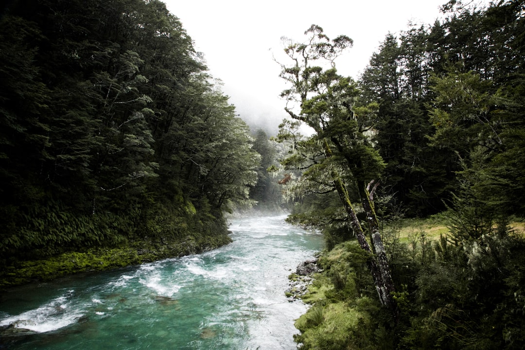 Descubra as Silica Rapids: uma joia da Nova Zelândia - Waimarino | Secret World Trip Planner