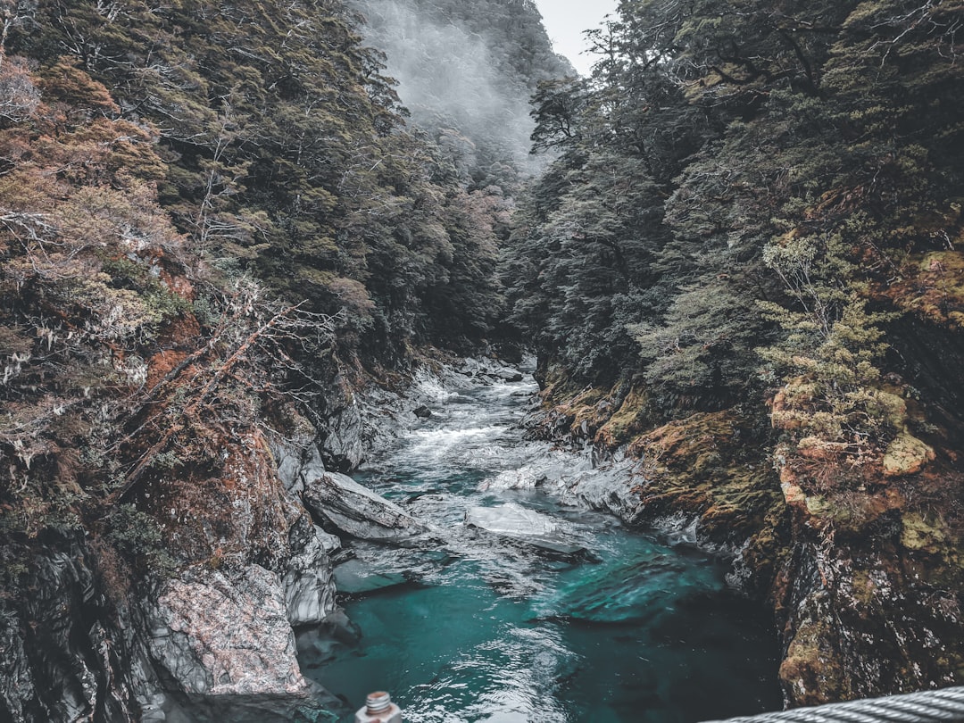 Descubre The Chasm: un rincón escondido de Nueva Zelanda - Milford Sound | Secret World Trip Planner