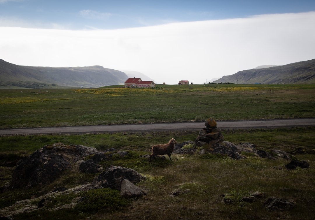 Descubriendo Þorsteinn Erlingsson: el poeta islandés de la naturaleza y la crítica social — Reykjavík