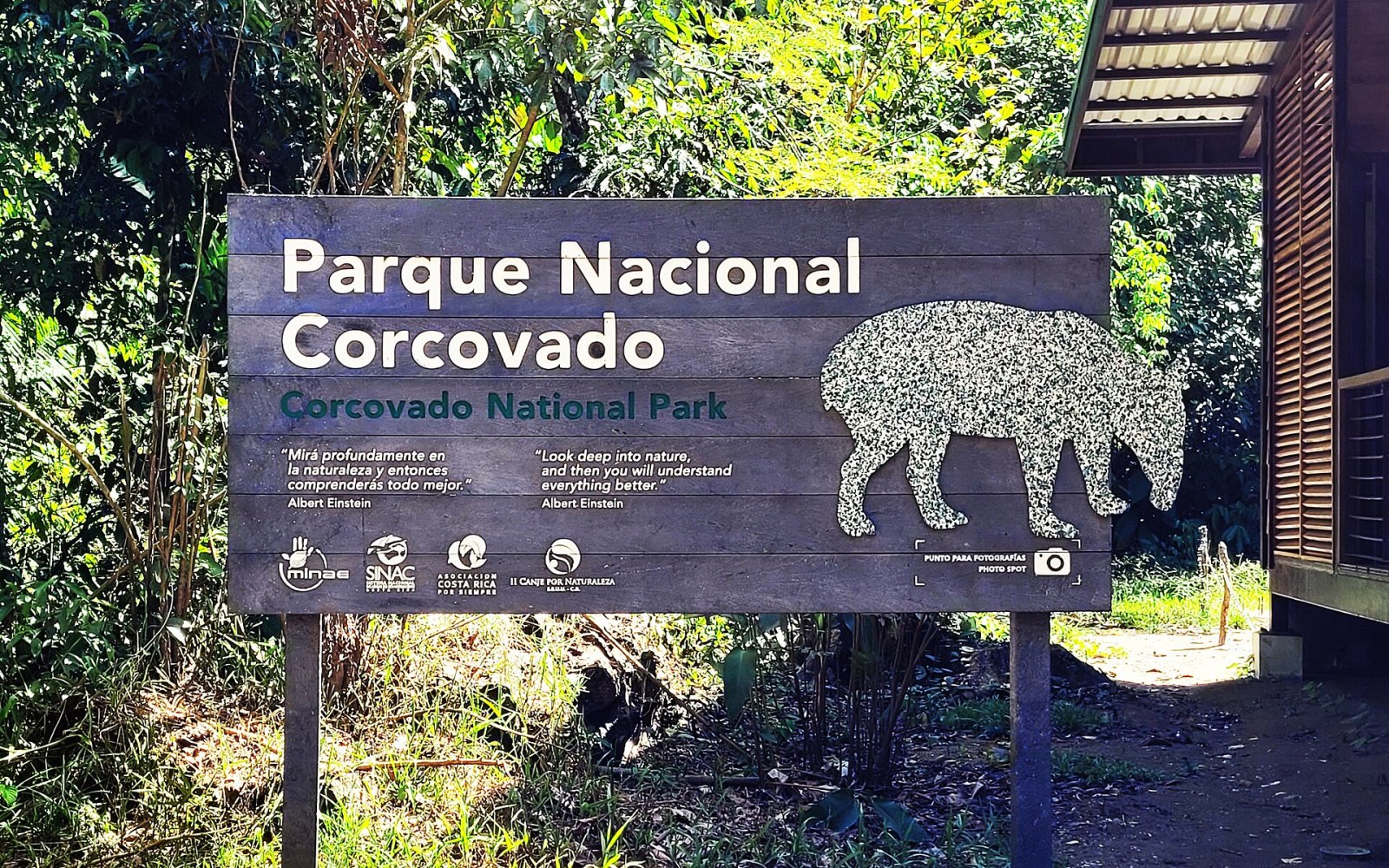 코르코바도 국립공원 발견하기: 생물 다양성의 보석 - Puerto Jiménez | Secret World Trip Planner