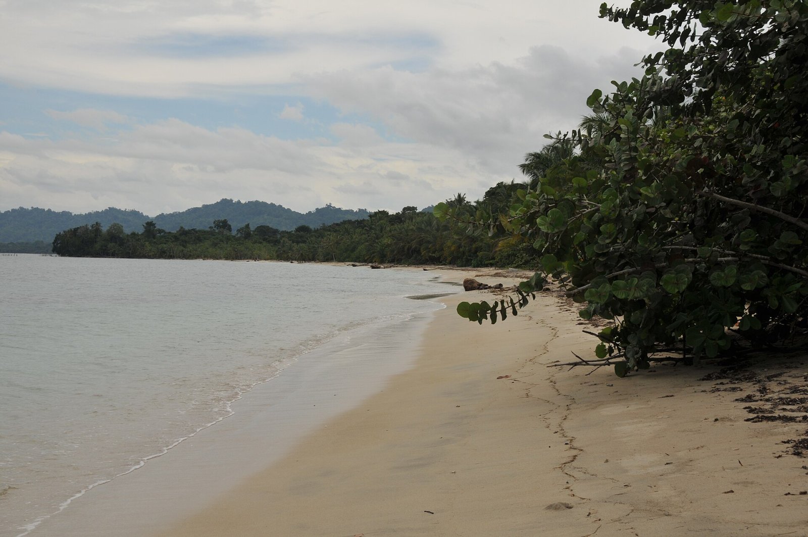Découvrez Punta Uva : Un Paradis Tropical au Costa Rica - Punta Uva | Secret World Trip Planner