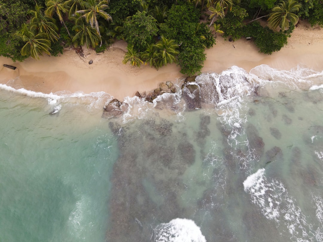 Откройте для себя Пунта Ува: Тропический Рай в Коста-Рике - Punta Uva | Secret World Trip Planner