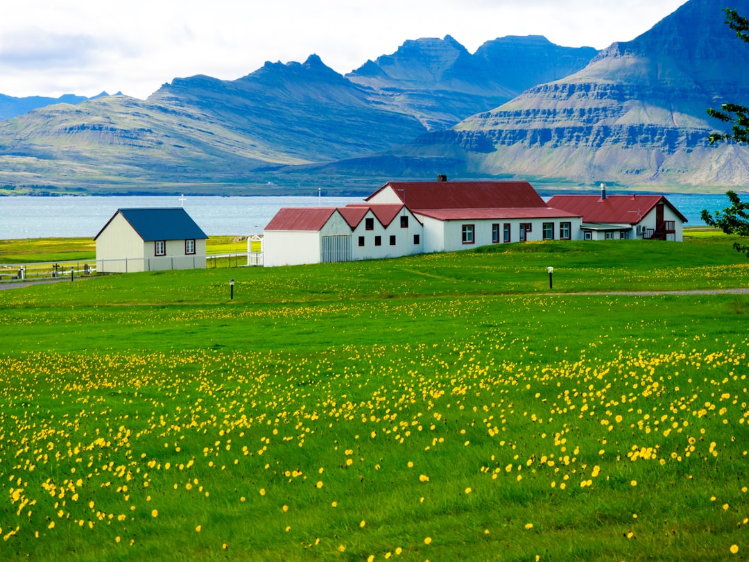 Descubra Grenjaðarstaður: Um tesouro cultural na Islândia | Secret World Trip Planner