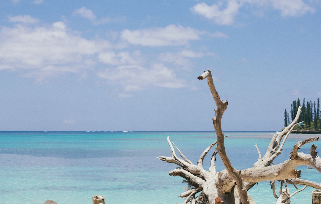 리푸: 맑은 물의 산호섬 - Lifou | Secret World Trip Planner