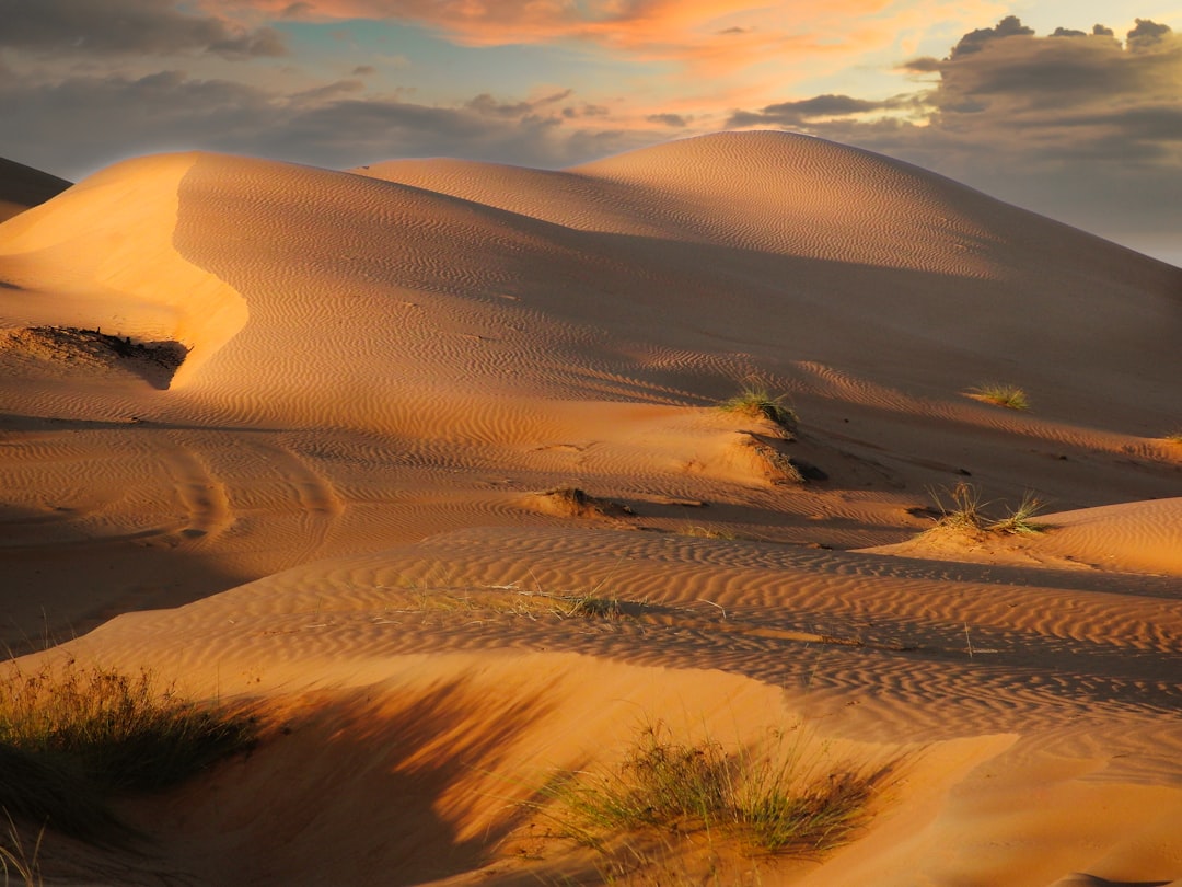 Rub' al-Khali: Die größte Wüste der Welt | Secret World Trip Planner