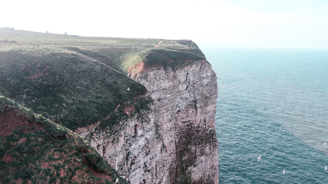 フレイミングクリフ：モンゴルの赤い崖 - 4PRC+X6G | Secret World Trip Planner